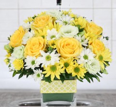 Bright Beginnings Floral Arrangement
