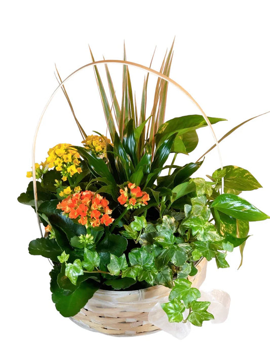 Lush Garden Bloom Basket